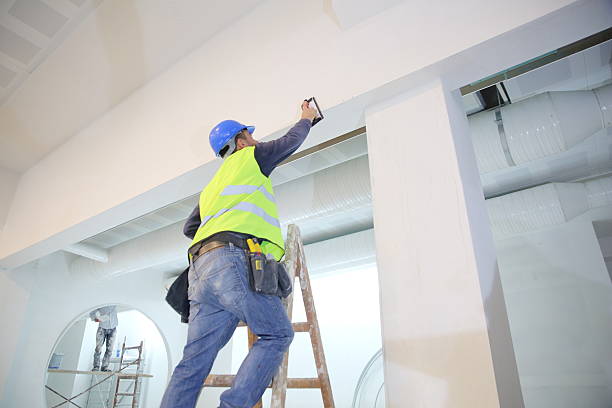 Best Drywall Installation  in Chenoa, IL